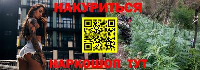 гашик Нарткала