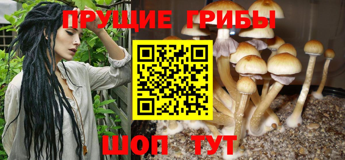 Галлюциногенные грибы мухоморы  Вход с VPN  купить закладку  Галлюциногенные грибы MAGIC MUSHROOMS  Тобольск 